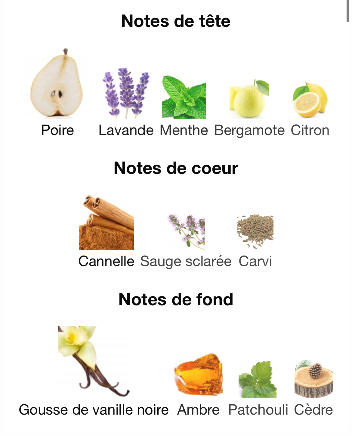 Jean Paul Gaulthier Ultra Male 10ML