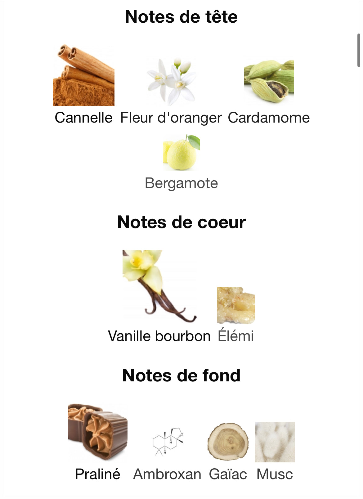 Liquid Brun French Avenue 10 ML