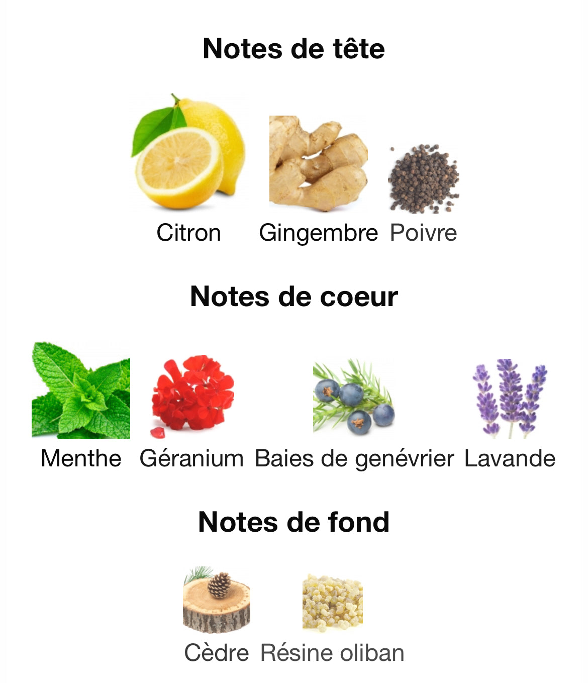 Yves Saint Laurent Y Eau Fraiche 100 ML