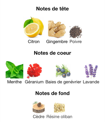 Yves Saint Laurent Y Eau Fraiche 100 ML